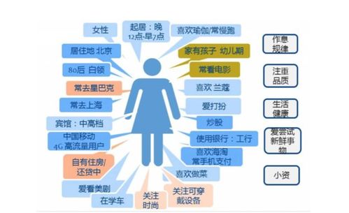 抖音用戶畫(huà)像解析 基本屬性、案例剖析及思邁特軟件Smartbi在軟件銷(xiāo)售中的應(yīng)用