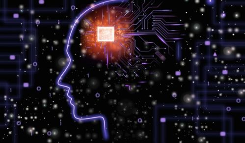 人工智能入門 基礎(chǔ)軟件開發(fā)知識指南